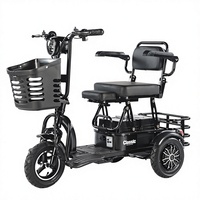 Tricycle Électrique Pliant à Pièces Détachées, Chaise de Mobilité de Loisirs, Moteur Brushless, Autonomie 30km, Pour Personnes Handicapées et Âgées, Propulsion Arrière, Ouvert