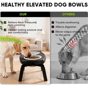 Soporte Elevado para Platos de Perro, 3 Alturas Ajustables, Plegable, Platos de Silicona Antideslizantes para Perros Pequeños - Product Image 2