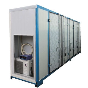 Équipement agricole hydroponique pour la culture de l'ail, 250KG/<span class=keywords><strong>D</strong></span>, équipement pour la culture de l'ail, du blé, de l'haricots mungo - Product Image 3