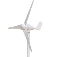Éolienne portable à axe horizontal 100W 200W 300W 400W pour usage domestique