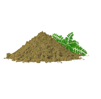 Extrait sec naturel de Phyllanthus Niruri Bhui Amla Tamaki en poudre, séché au plateau et séché par pulvérisation, extrait botanique pour l'alimentation et les boissons