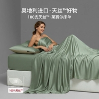 Vente en gros de linge de lit 100% Lyocell, ensemble de 4 pièces, luxe hôtelier 5 étoiles, ensemble de draps et de housse de couette, logo personnalisé