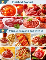 ORME Automatische Fruitjam Productielijn Tomatenpuree Aardbei Blauwe Bes Framboos Rode Dadel Peerjam Verwerkingsmachine