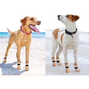 पालतू सामान थोक आरामदायक गैर पर्ची पालतू उपकरण जूते कुत्ते मोजे गैर-पर्ची वाटरप्रूफ पालतू मोजे - Product Image 4