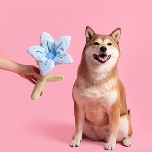 Оптовая продажа, Новые Креативные милые плюшевые игрушки для собак, устойчивые к скуке шлифовальные зубы - Product Image 6