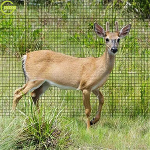 Trung Quốc nhà máy lỗ vuông Deer lưới cho Crop - Product Image 6