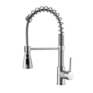 Luxury Brass Flexible Pull Out Spout Sink Mixer Hot Cold Water Tap Modern Commercial Spring Pull Down Sprayer Kitchen Faucet