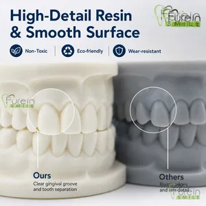 Modèle dentaire en plâtre avec base en acier inoxydable, modèle d'étude typodont blanc pour la formation et la démonstration en orthodontie - Product Image 5