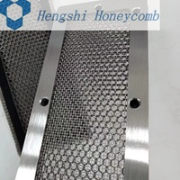 Panel Ventilasi Tahan Api Inti Sarang Lebah untuk Kandang Faraday dengan Bahan Baja Karbon Tembaga yang Dapat Disesuaikan