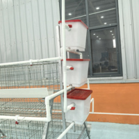 Cages à poules pondeuses de type A avec système d'alimentation entièrement automatique, en treillis métallique galvanisé pour élevages commerciaux