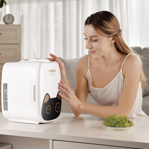 2021 nueva llegada 6L portátil refrigerador del coche para acampar genial y más cálido AC 100-240V y 12V DC - Product Image 3