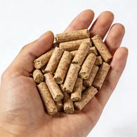 Meilleur prix pour les granulés de bois EN Plus-A1 EN Plus-A2 (6-8 mm) en pin et hêtre, granulés de bois de 15 kg pour le chauffage domestique et l'utilisation industrielle