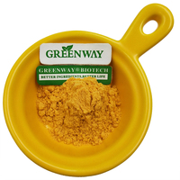 Extrait de Sophora japonica de qualité industrielle 95% 98% Poudre de quercétine pour produits de santé