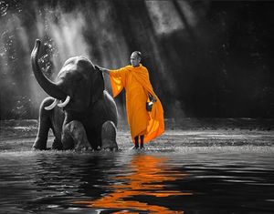 Vente en gros d'art mural <span class=keywords><strong>noir</strong></span> <span class=keywords><strong>et</strong></span> <span class=keywords><strong>blanc</strong></span> décor de bouddha peinture sur toile zen peinture thaïlandaise éléphant moine rivage d'eau peinture de tir - Product Image 2