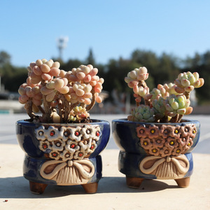 Pot à succulentes moderne en céramique émaillée à large ouverture avec trou de drainage respirant - Product Image 3
