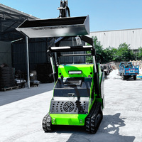 Nueva Llegada: Minicargadora Compacta de Orugas de Goma Euro 5 de 25hp y 30hp para Jardinería