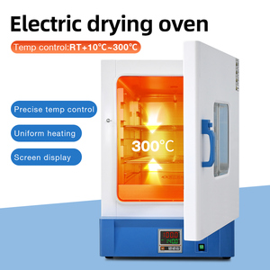 New bán buôn phòng thí nghiệm sấy <span class=keywords><strong>Oven</strong></span> điện sưởi ấm Blast sấy <span class=keywords><strong>Oven</strong></span> nhiệt độ cao công nghiệp kỹ thuật số phòng thí nghiệm sấy thiết bị - Product Image 6