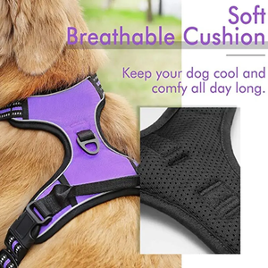 OEM özel lüks Pet köpek eğitim koşum seti geri çekilebilir yaka tasma baskılı desen köpek tasması ve tel tasma ile - Product Image 5