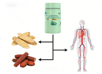 Kapsul Astragalus Salvia Chromium Alami |   Suplemen Diet Herbal untuk Membantu Menurunkan Gula Darah