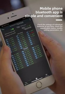 מאזן אקטיבי 8~24 מיתרים מכשיר לתיקון איזון הפרשי מתח 4A זרם גבוה איזון אקטיבי - Product Image 4