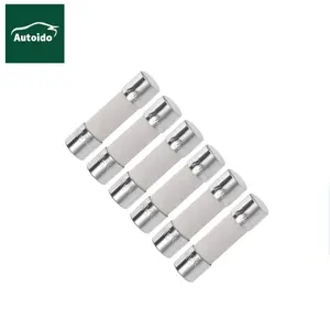 Fusibles de cerámica de soplado lento T6.3AH250V, 5x20mm, 6.3A, 250 V, 6,3 amp, 250 voltios, 0,2x0,78 pulgadas, fusibles de retardo de tiempo de tubo de cerámica