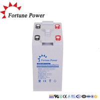 Baterai Katoda LiFePO4 Fortune Power NP600-2 Tipe Pelat Tubular 2V OPZV 500ah 600ah 800ah 1000ah untuk Penyimpanan Tenaga Surya