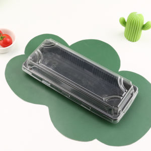Bandeja de <span class=keywords><strong>Sushi</strong></span> Desechable para Comida Japonesa para Llevar, Platos y Tazones de Plástico, Venta Directa de Fábrica - Product Image 2