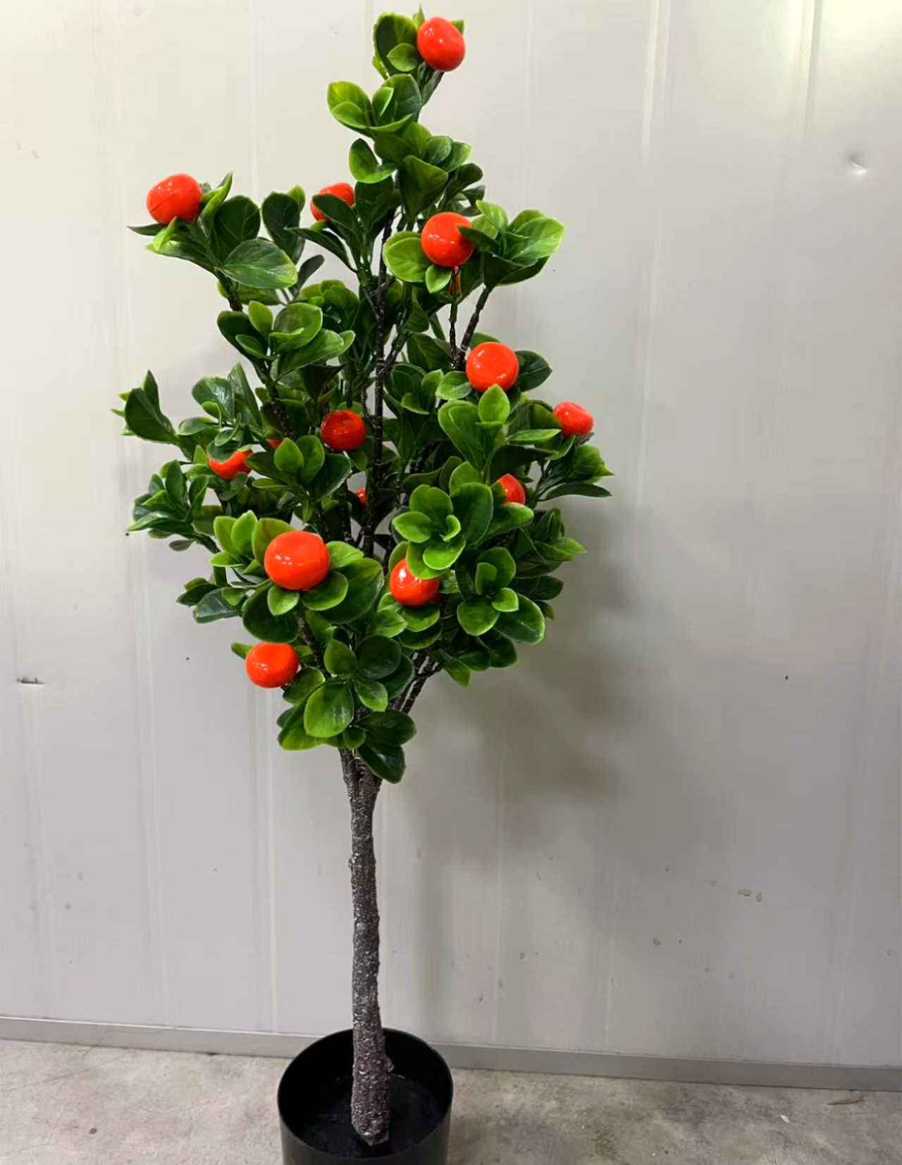Vert5