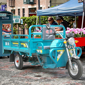 <span class=keywords><strong>Tricycle</strong></span> électrique de fret WF1500DZH EEC de haute qualité, carrosserie ouverte, construction en acier, charge utile de 400 kg, qualité certifiée et stable, à vendre - Product Image 3