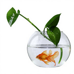 <span class=keywords><strong>Vasi</strong></span> in Vetro a Forma di Boccia, Vaso in Vetro da 20cm, Terrario in Vetro Trasparente, Vaso <span class=keywords><strong>per</strong></span> Fiori in Vetro Borosilicato - Product Image 1