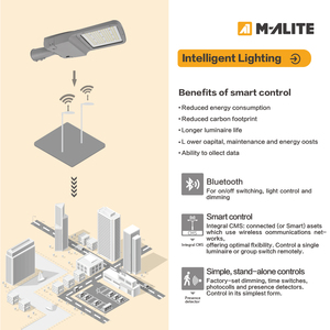 Luminaria LED para Exteriores de Grado Profesional, con Cubierta de Vidrio Templado y Aluminio Fundido a Presión, IP65 IK09, para Carreteras Urbanas - Product Image 4