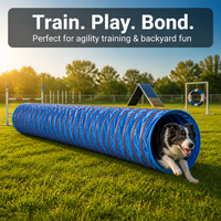 Tunnel de jeu pliable en PVC durable pour l'agility canine, design écologique et tendance pour chiots, utilisation intérieure/extérieure, installation rapide