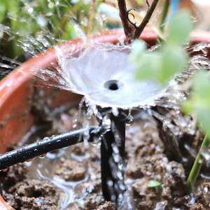 Goutteur réglable 13 cm noir avec capuchon bleu en PP, buse champignon à ressort 360 degrés pour irrigation goutte à goutte des vergers - Product Image 3