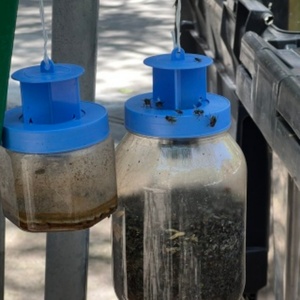 Trampa para Moscas de Exterior al por Mayor, Atrapa Moscas en Botella, Jaula Atrapa Insectos para Jardín, Césped, Patio, Huerto y Uso en Campamentos - Product Image 6