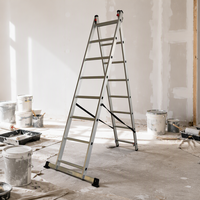 Échelle combinée télescopique en aluminium à 2 sections, réglable, anti-rouille, capacité 150 kg, pour appartement, livraison directe usine