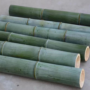 Large Size 3 Meter <strong>Bamboo</strong> Sticks <strong>Cane</strong> Poles for Plant Construction - Product Image 1