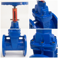 Katup Besi Cor OEM Kustom dengan Indikator Skala untuk Pasokan Air, Katup Gerbang Duduk Tahan Lama dengan Batang Tidak Naik (Non-Rising Stem)