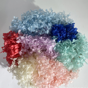Pétales stabilisés, mousse et plantes murales, cadeau décoratif, vente en gros, <span class=keywords><strong>fleurs</strong></span> réelles, bouquet de roses et hortensias au toucher réel - Product Image 5