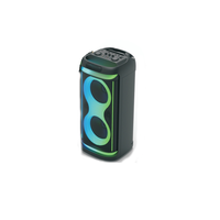 Enceinte Bluetooth extérieure double flamme 10 pouces, enceinte subwoofer, système audio portable haute puissance