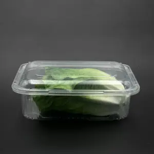 Fresh Lettuce Fruit Packaging Disposable Clamshell Takeaway Container Plastic Food Box