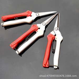 Sécateur Taiwan Mountain Wisteria en acier inoxydable, tête droite, lame de 60 mm, poignée rouge et blanche, diamètre de coupe 10-20 mm - Product Image 5