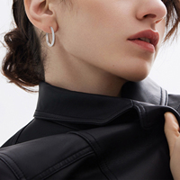 Boucles d'oreilles créoles simples en argent sterling 925 pour femme, minimalistes, avec zircon cubique, plaquées or et argent