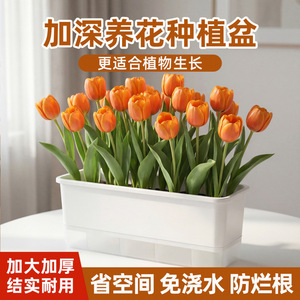 Rectangular Flower Pot Plastic White Gray Self Watering Indoor Outdoor Balcony Plant Container Minimalist Design HF1142 - Product Image 5