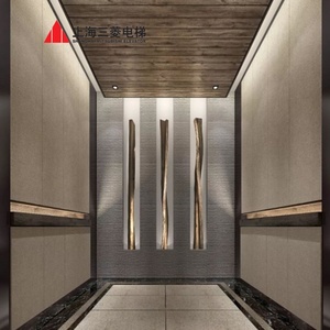 Precio del Elevador Mitsubishi de 1000 kg - Techo Elevador con Diseño de Cristal para Camper - Product Image 1