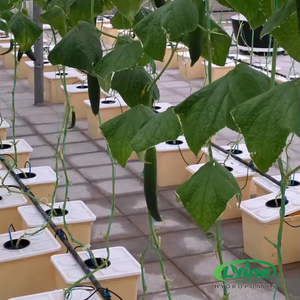 Sistema Hidropónico Vertical de Alta Calidad con Bomba, Circulación de Agua Automatizada, Canasta de Plástico para Cultivo de Tomates - Product Image 6