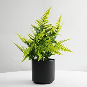 <span class=keywords><strong>Bonsai</strong></span> hoja persa Micro paisaje decoración helecho en maceta Artificial para sala de estar decoración de escritorio planta verde para el hogar - Product Image 1