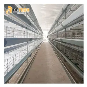 Cages automatiques de haute qualité en batterie pour poules pondeuses de ferme en vente