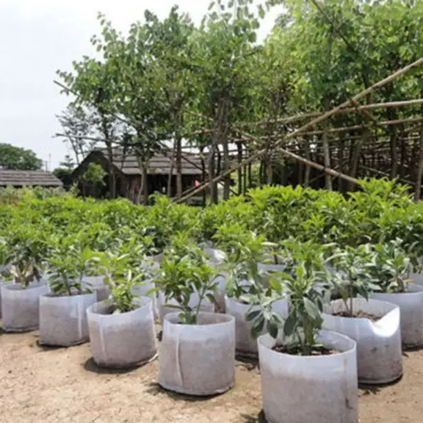 Tahan lama dan bernapas Pot taman tumbuh non-tenun kain poliester merasa tumbuh tas menanam Pot untuk berkebun