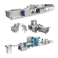 Productielijn voor chilisaus voor een fabriek voor hete sauzen, automatische vul-, kook- en verwerkingsmachines