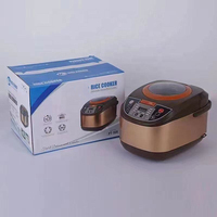 Cuisinière à riz électrique multifonctionnelle automatique 900W 5L pour la maison – Vente en gros usine